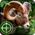 荒野猎手无限金币版 Wild Hunter V1.0.5