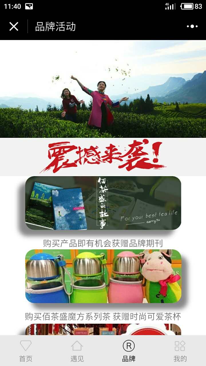 佰茶盛100TEAS品牌茶叶店